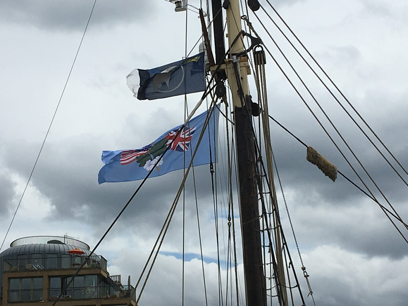 Mayflower 400 flying high